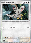 Minccino (Master Ball Pattern) 075/086  - Holofoil SV Black Bolt