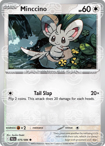 Minccino (Master Ball Pattern) 075/086  - Holofoil SV Black Bolt
