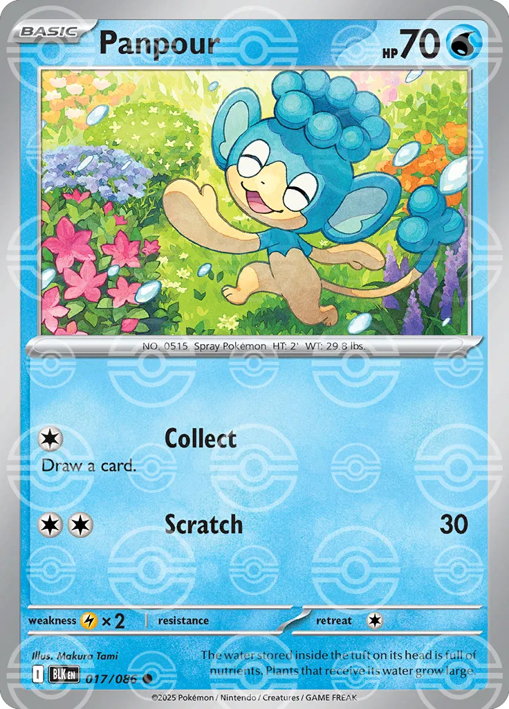 Panpour (Poke Ball Pattern) 017/086  - Holofoil SV Black Bolt