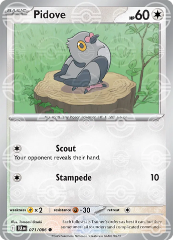 Pidove (Poke Ball Pattern) 071/086  - Holofoil SV Black Bolt