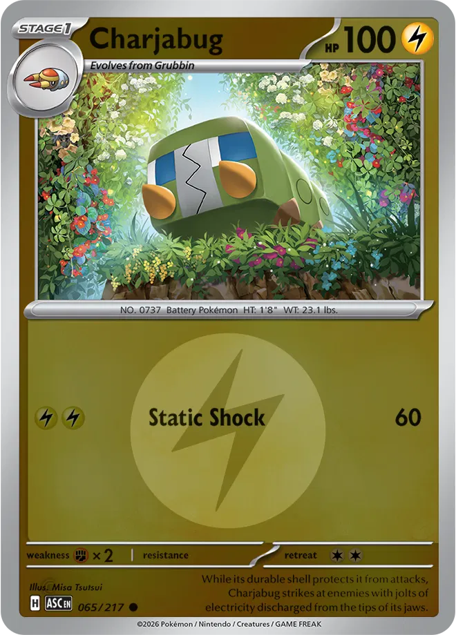 Charjabug (Energy Symbol Pattern) 065  - Reverse Holofoil ME Ascended Heroes - Common